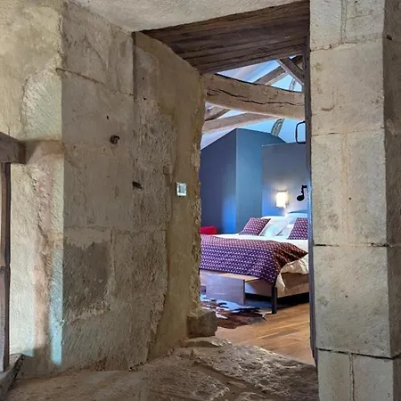 別荘 Prieure Restaure Avec Jardin, Charme Ancien Et Commodites Modernes, Pres De L'eglise A - Fr-1-653-145